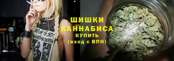 гидра Медногорск