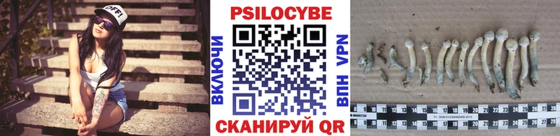 blacksprut маркетплейс  Альметьевск  Галлюциногенные грибы ЛСД 