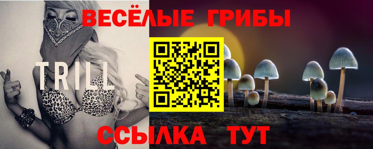 Альметьевск  Галлюциногенные грибы Magic Shrooms  Вход с VPN  хочу наркоту  Галлюциногенные грибы GOLDEN TEACHER 